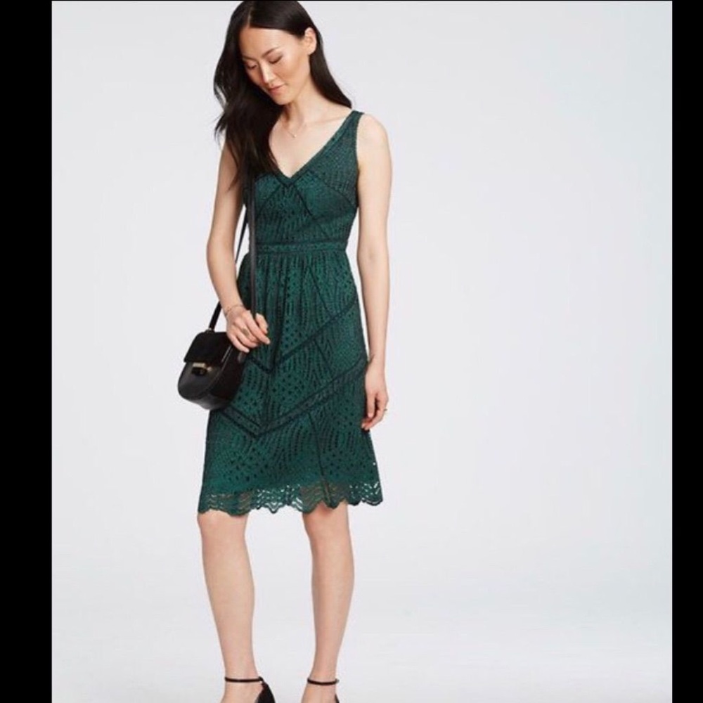 ANN TAYLOR Forest Green Lace Fit & Flare Dress NWT
